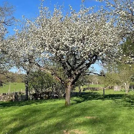 Hébergement de vacances Manoir De Famille Proche