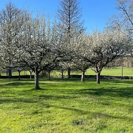 Manoir De Famille Proche 別荘