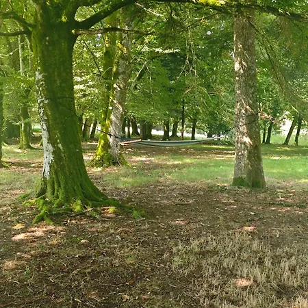 別荘 Manoir De Famille Proche