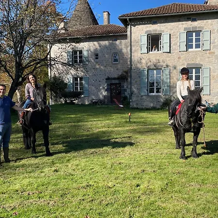 펜션 Manoir De Famille Proche