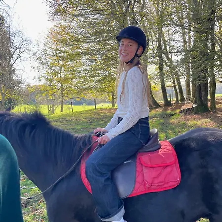 Hébergement de vacances Manoir De Famille Proche *