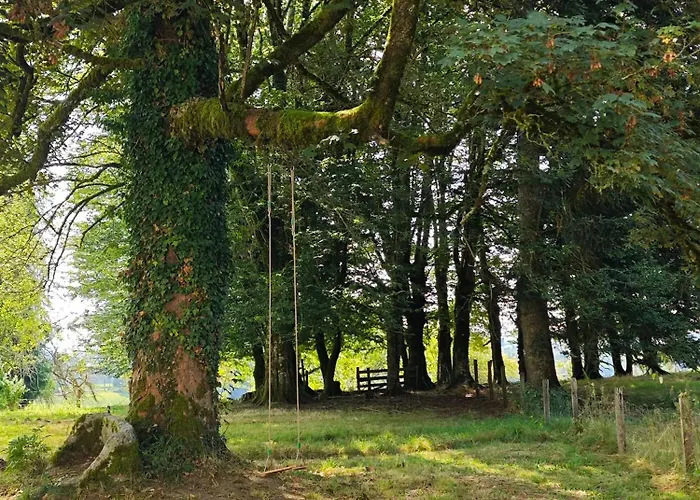 Manoir De Famille Proche Casa de Férias *