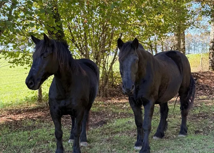 Manoir De Famille Proche Casa de Férias *